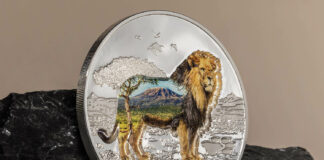 CITs Into the Wild – Lion