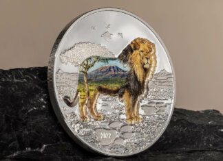 CITs Into the Wild – Lion