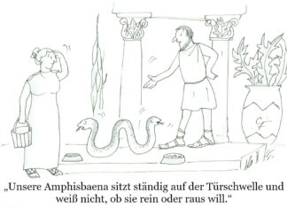 Unser Cartoon: Franklins Welt