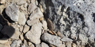 Überraschende römische Funde in den Berner Hochalpen