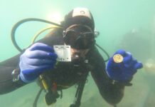 Römisches Schiffswrack in der Adria gefunden