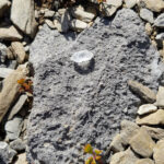 02-2023-02-20-bkd-abb-3-bergkristall